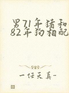 男71年猪和女82年狗相配吗?