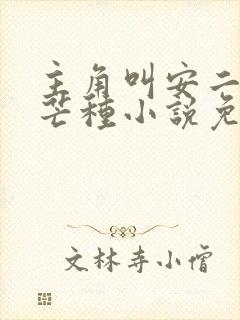 主角叫安二狗的芒种小说免费阅读