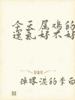 今天属鸡的打牌运气好不好