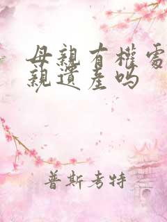 母亲有权处置父亲遗产吗