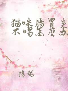 猫咪肠胃炎不吃不喝怎么办