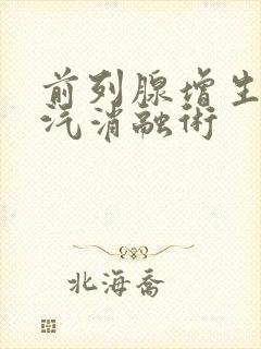 前列腺增生热蒸汽消融术