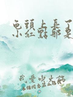 龟头上长了一个小红点那是怎么回事