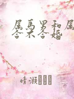 属马男和属兔女合不合婚