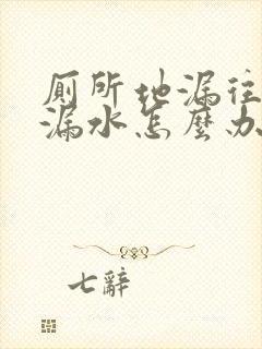 厕所地漏往楼下漏水怎么办