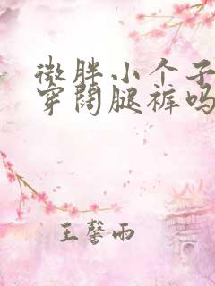 微胖小个子适合穿阔腿裤吗