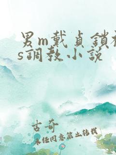 男m戴贞锁被女s调教小说