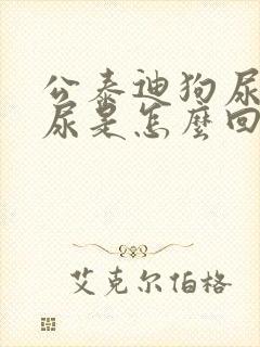 公泰迪狗尿红色尿是怎么回事