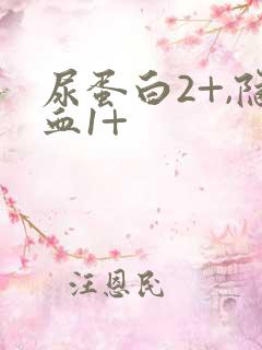 尿蛋白2+,隐血1+