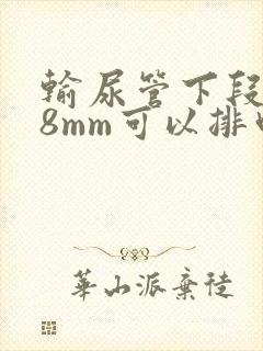 输尿管下段结石8mm可以排吗