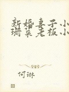 新婚妻子小说芷珊菜老板小说全文阅读