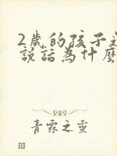 2岁的孩子还不说话为什么