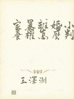 家暴离婚小孩抚养权怎么判