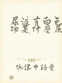 尿液有白色沉淀物是什么原因