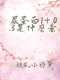 尿蛋白1+ 0.3是什么意思