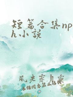 短篇合集np高h小说
