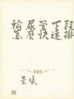 输尿管下段结石怎么快速排出来啊