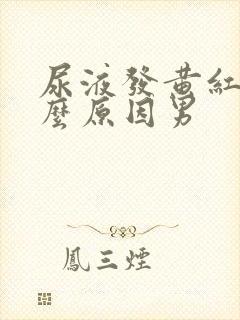 尿液发黄红是什么原因男