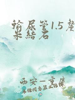 输尿管1.5厘米结石