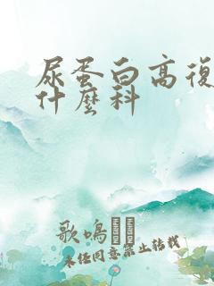 尿蛋白高复查挂什么科