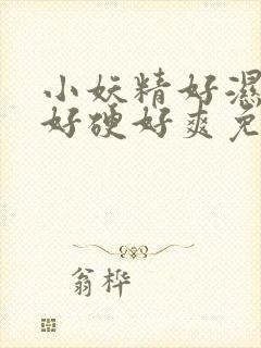 小妖精好湿好紧好硬好爽免费视频