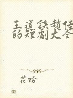 王道铁赵佳主演的短剧大全