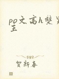 po文高h双男主