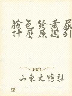 脸色发黄尿黄是什么原因引起的