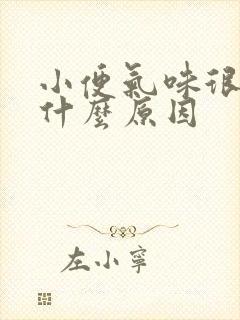 小便气味很大是什么原因