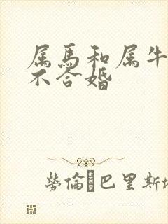 属马和属牛的合不合婚