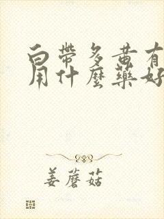 白带多黄有异味用什么药好