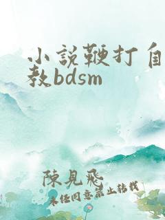 小说鞭打自愿调教bdsm