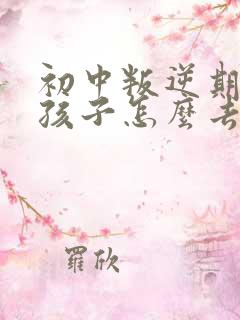 初中叛逆期的男孩子怎么去引导