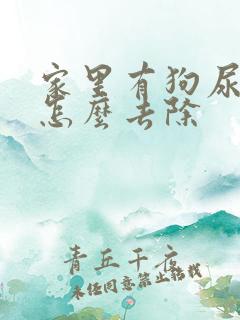 家里有狗尿骚味怎么去除