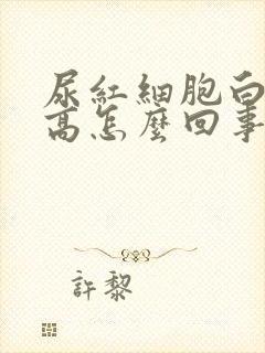 尿红细胞白细胞高怎么回事