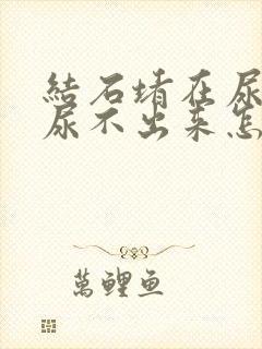 结石堵在尿道口尿不出来怎么解决