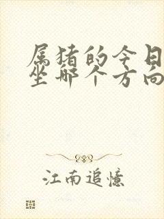 属猪的今日打牌坐哪个方向