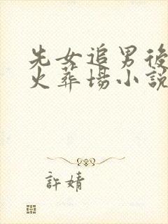 先女追男后追妻火葬场小说