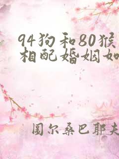94狗和80猴相配婚姻如何