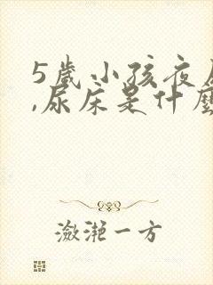 5岁小孩夜尿多,尿床是什么原因