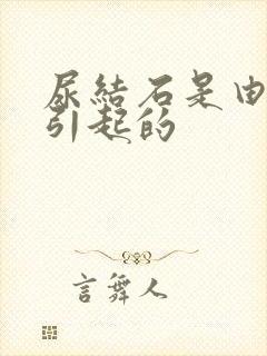 尿结石是由什么引起的