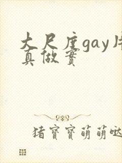 大尺度gay片真做实