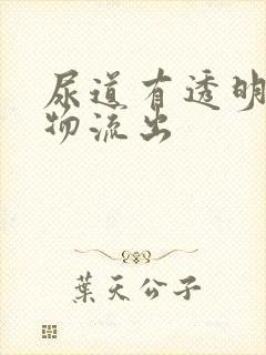 尿道有透明分泌物流出