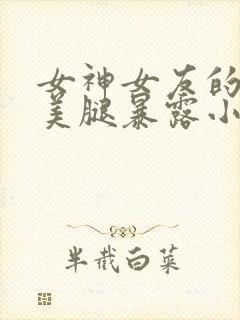 女神女友的丝袜美腿暴露小说