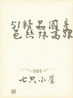 51精品国产黑色丝袜高跟鞋