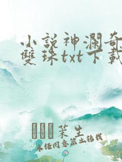 小说神澜奇域无双珠txt下载
