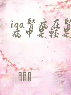 iga肾病在肾病中是轻是重