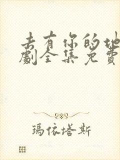 去有你的地方短剧全集免费观看