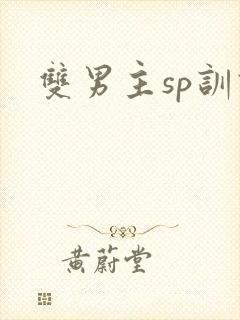 双男主sp训诫