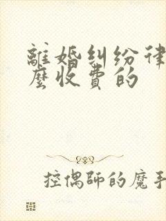 离婚纠纷律师怎么收费的